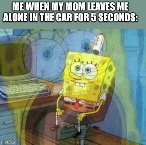 spongebob panic inside | ME WHEN MY MOM LEAVES ME ALONE IN THE CAR FOR 5 SECONDS: | image tagged in spongebob panic inside | made w/ Imgflip meme maker