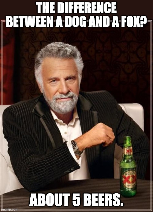Dog/Fox | THE DIFFERENCE BETWEEN A DOG AND A FOX? ABOUT 5 BEERS. | image tagged in memes,the most interesting man in the world | made w/ Imgflip meme maker