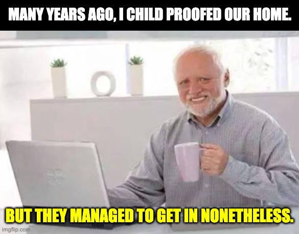 Child-proof | MANY YEARS AGO, I CHILD PROOFED OUR HOME. BUT THEY MANAGED TO GET IN NONETHELESS. | image tagged in harold | made w/ Imgflip meme maker