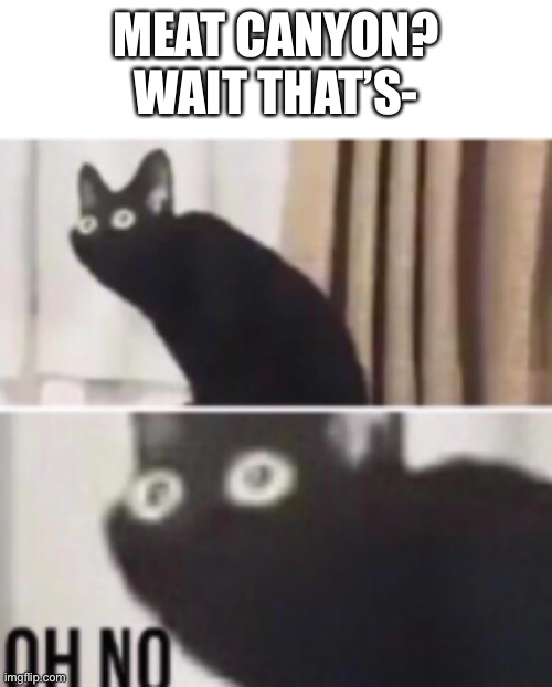 Oh no cat | MEAT CANYON? WAIT THAT’S- | image tagged in oh no cat | made w/ Imgflip meme maker