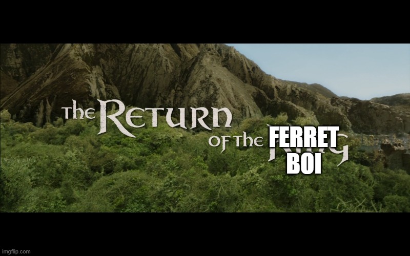 Return Of The King | FERRET
BOI | image tagged in return of the king | made w/ Imgflip meme maker