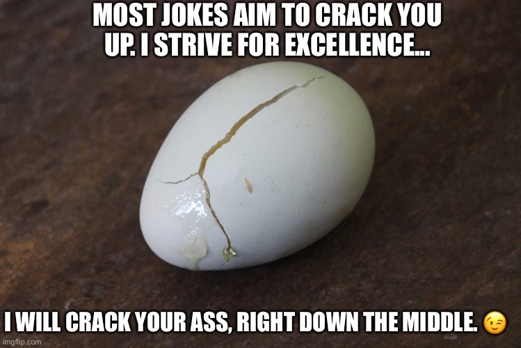 MOST JOKES AIM TO CRACK YOU UP. I STRIVE FOR EXCELLENCE... I WILL CRACK YOUR ASS, RIGHT DOWN THE MIDDLE. 😉 | image tagged in funny | made w/ Imgflip meme maker