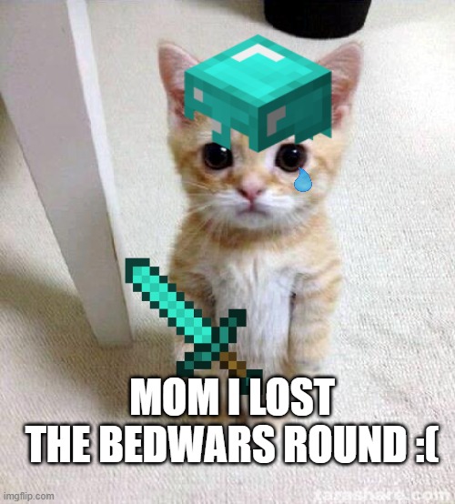 MOM I LOST THE BEDWARS ROUND :( | image tagged in minecraft,cats,cute | made w/ Imgflip meme maker