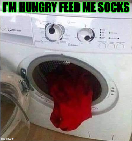 I'M HUNGRY FEED ME SOCKS | image tagged in dryer socks | made w/ Imgflip meme maker