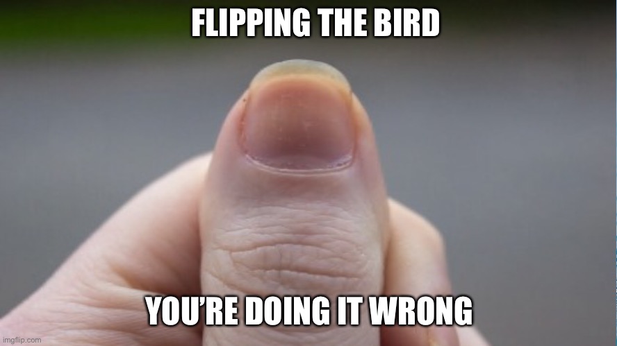 Click To Enrage Thumbnail | FLIPPING THE BIRD; YOU’RE DOING IT WRONG | image tagged in flip the bird | made w/ Imgflip meme maker