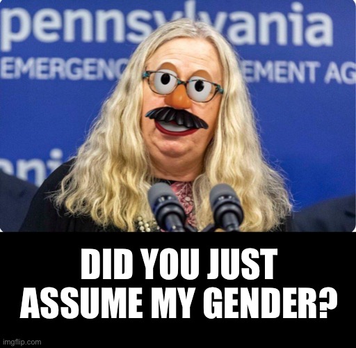 Dr. Potato Head |  DID YOU JUST ASSUME MY GENDER? | image tagged in gender disphoria,ConservativeMemes | made w/ Imgflip meme maker