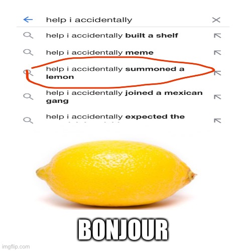 Blank Transparent Square Meme | BONJOUR | image tagged in memes,blank transparent square | made w/ Imgflip meme maker