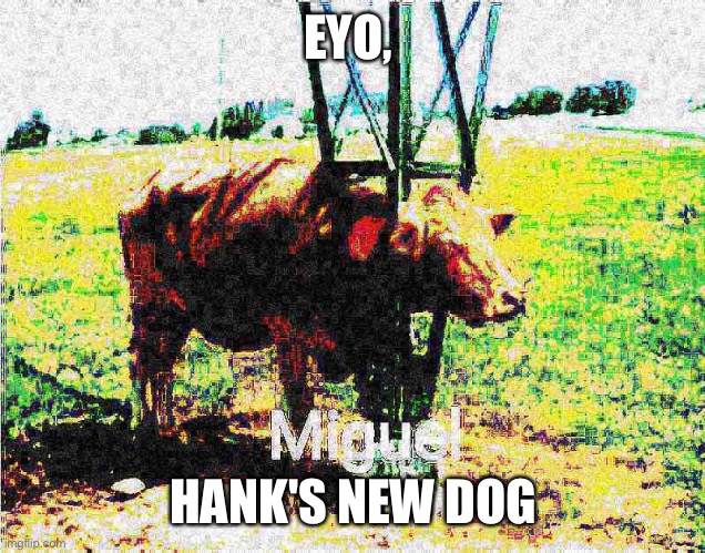 Hank went to the pet store and brought back Miguel | EYO, HANK'S NEW DOG | image tagged in hank,miguel | made w/ Imgflip meme maker