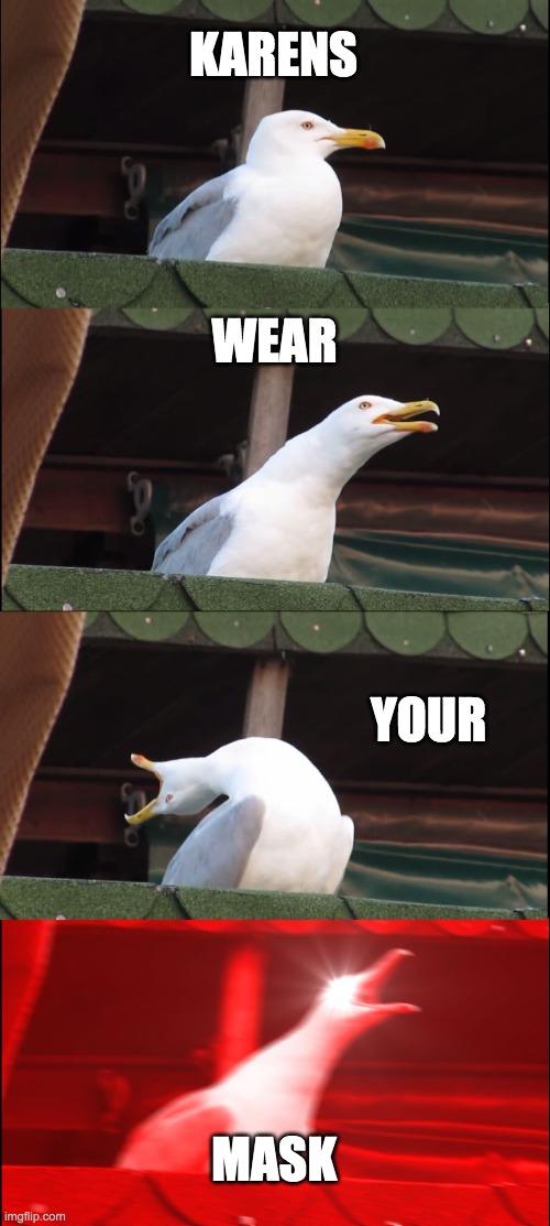 Inhaling Seagull Meme | KARENS; WEAR; YOUR; MASK | image tagged in memes,inhaling seagull | made w/ Imgflip meme maker