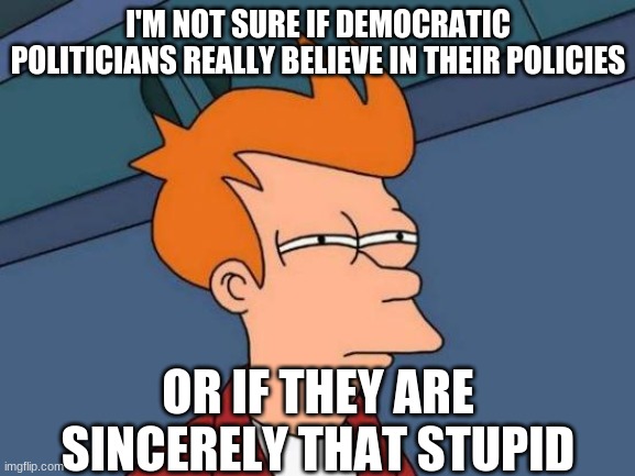 Futurama Fry Meme | I'M NOT SURE IF DEMOCRATIC POLITICIANS REALLY BELIEVE IN THEIR POLICIES; OR IF THEY ARE SINCERELY THAT STUPID | image tagged in memes,futurama fry | made w/ Imgflip meme maker