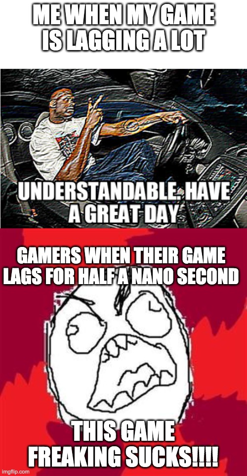 I hate these dudes | ME WHEN MY GAME IS LAGGING A LOT; GAMERS WHEN THEIR GAME LAGS FOR HALF A NANO SECOND; THIS GAME FREAKING SUCKS!!!! | image tagged in understandable have a great day,rage face | made w/ Imgflip meme maker