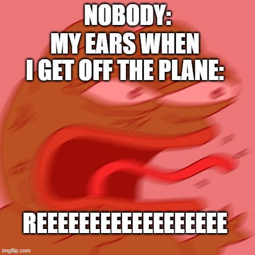 my ears... they're GONE |  NOBODY:; MY EARS WHEN I GET OFF THE PLANE:; REEEEEEEEEEEEEEEEEE | image tagged in reeeeeeeeeeeeeeeeeeeeee,memes,relatable | made w/ Imgflip meme maker