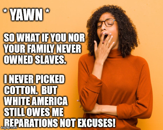 Enough with excuses ... pay your debt White America! | * YAWN *; SO WHAT IF YOU NOR
YOUR FAMILY NEVER
OWNED SLAVES. I NEVER PICKED
COTTON.  BUT
WHITE AMERICA 
STILL OWES ME 
REPARATIONS NOT EXCUSES! | image tagged in blm,whites,reparations,joe biden,slavery,black woman yawning | made w/ Imgflip meme maker