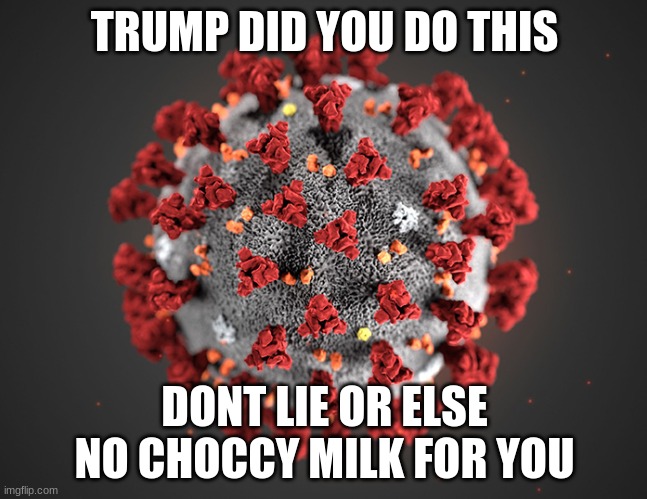 Coronavirus | TRUMP DID YOU DO THIS; DONT LIE OR ELSE NO CHOCCY MILK FOR YOU | image tagged in coronavirus | made w/ Imgflip meme maker
