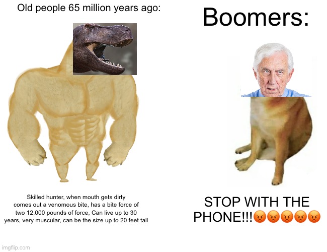 OLD PEPLE | Old people 65 million years ago:; Boomers:; Skilled hunter, when mouth gets dirty comes out a venomous bite, has a bite force of two 12,000 pounds of force, Can live up to 30 years, very muscular, can be the size up to 20 feet tall; STOP WITH THE PHONE!!!😡😡😡😡😡 | image tagged in memes,buff doge vs cheems | made w/ Imgflip meme maker