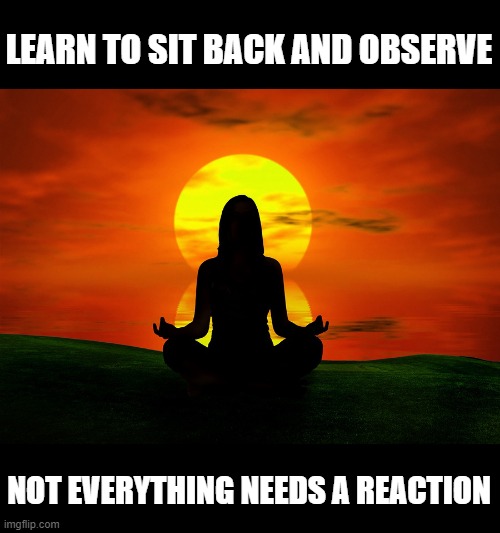 Good advice for the social media age |  LEARN TO SIT BACK AND OBSERVE; NOT EVERYTHING NEEDS A REACTION | image tagged in meditation,let it go | made w/ Imgflip meme maker