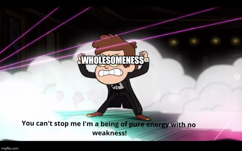 WHOLESOMENESS | made w/ Imgflip meme maker