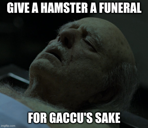 it made sense at the time | GIVE A HAMSTER A FUNERAL FOR GACCU'S SAKE | image tagged in dead,but not forgotton,forget | made w/ Imgflip meme maker