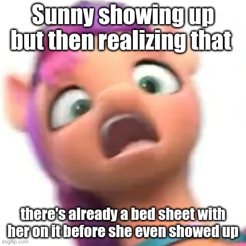 G5 meme incoming! | Sunny showing up but then realizing that; there's already a bed sheet with her on it before she even showed up | image tagged in mlp,mlp fim,mlp meme,g5,mlp g5,sunny | made w/ Imgflip meme maker