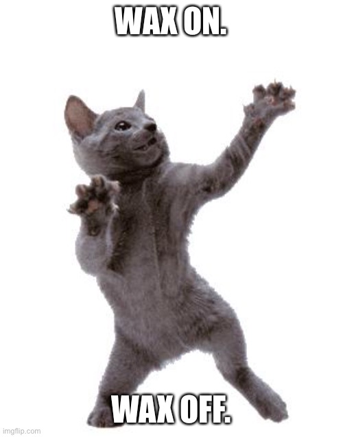 Happy Dance Cat | WAX ON. WAX OFF. | image tagged in happy dance cat | made w/ Imgflip meme maker
