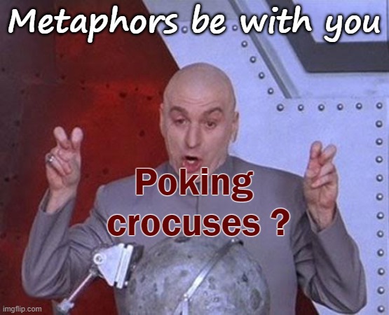 Poking crocuses |  Metaphors be with you; Poking 
crocuses ? | image tagged in memes,dr evil laser,boris johnson,springtime,frosty,vaccinations | made w/ Imgflip meme maker