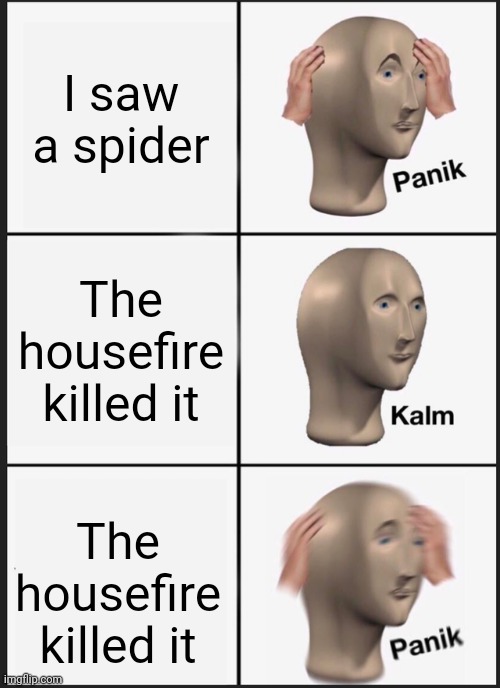 I hate spiders | I saw a spider; The housefire killed it; The housefire killed it | image tagged in memes,panik kalm panik,spiders,fire | made w/ Imgflip meme maker
