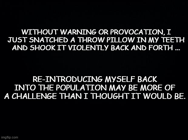 So I better see what's on TV tonight becSQUIRRELL!!!! | WITHOUT WARNING OR PROVOCATION, I JUST SNATCHED A THROW PILLOW IN MY TEETH AND SHOOK IT VIOLENTLY BACK AND FORTH ... RE-INTRODUCING MYSELF BACK INTO THE POPULATION MAY BE MORE OF A CHALLENGE THAN I THOUGHT IT WOULD BE. | image tagged in black background,lockdown,quarantine,coronavirus,corona virus,funny memes | made w/ Imgflip meme maker