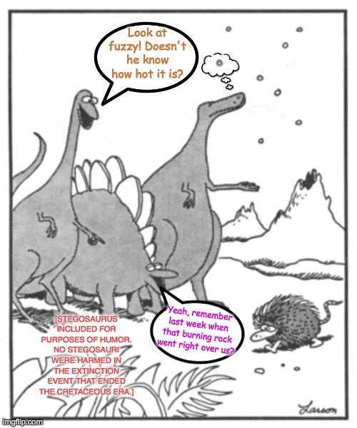 The only constant is change (borrowed from Gary Larson) | Look at fuzzy! Doesn't he know how hot it is? [STEGOSAURUS INCLUDED FOR PURPOSES OF HUMOR. NO STEGOSAURI WERE HARMED IN THE EXTINCTION EVENT THAT ENDED THE CRETACEOUS ERA.]; Yeah, remember last week when that burning rock went right over us? | image tagged in laughing dinosaurs,climate change,dinosaurs,snow,extinction | made w/ Imgflip meme maker