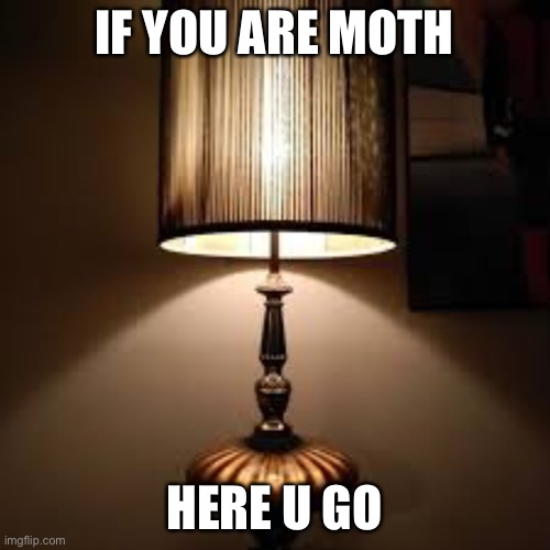 l a m p | IF YOU ARE MOTH; HERE U GO | image tagged in lamp | made w/ Imgflip meme maker