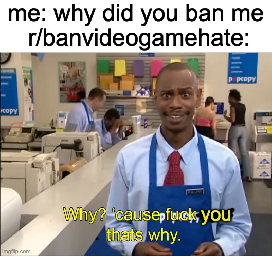 the mods are mean and stupid and i got permanently banned today | me: why did you ban me 
r/banvideogamehate:; you | image tagged in why cause fuck em thats why,reddit | made w/ Imgflip meme maker