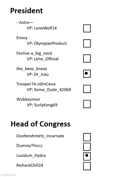 My vote | image tagged in voting,imgflip users,imgflip user,imgflip,presidents,vote | made w/ Imgflip meme maker