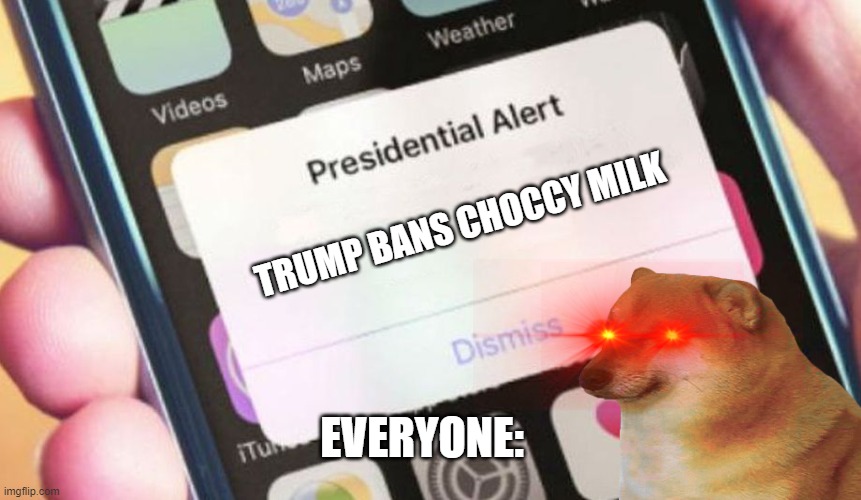WARNING: Choccy Milk BANNED | TRUMP BANS CHOCCY MILK; EVERYONE: | image tagged in cheems,choccy milk | made w/ Imgflip meme maker