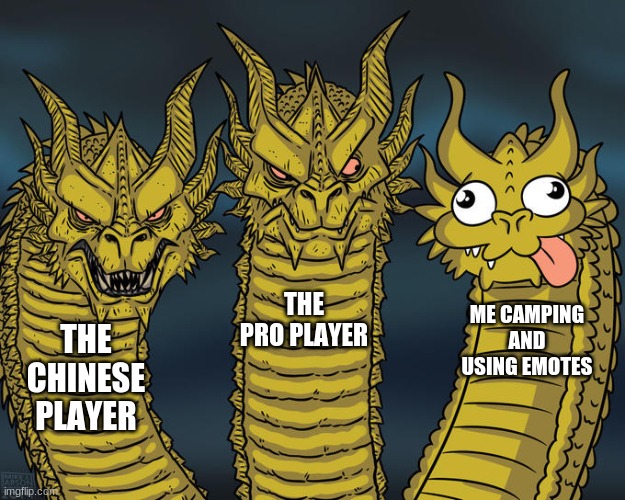 gaming meme | THE PRO PLAYER; ME CAMPING AND USING EMOTES; THE CHINESE PLAYER | image tagged in three-headed dragon | made w/ Imgflip meme maker