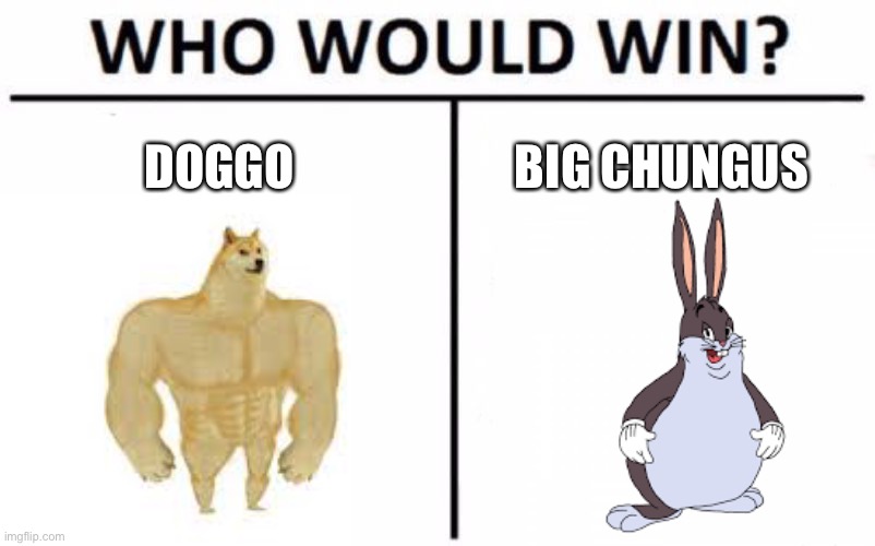 Big body or beef body | DOGGO; BIG CHUNGUS | image tagged in memes,who would win | made w/ Imgflip meme maker