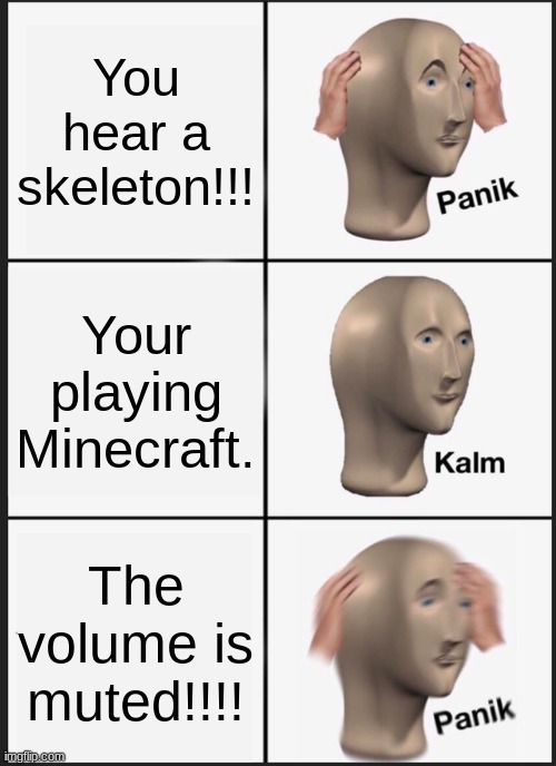 minecra- | You hear a skeleton!!! Your playing Minecraft. The volume is muted!!!! | image tagged in memes,panik kalm panik | made w/ Imgflip meme maker