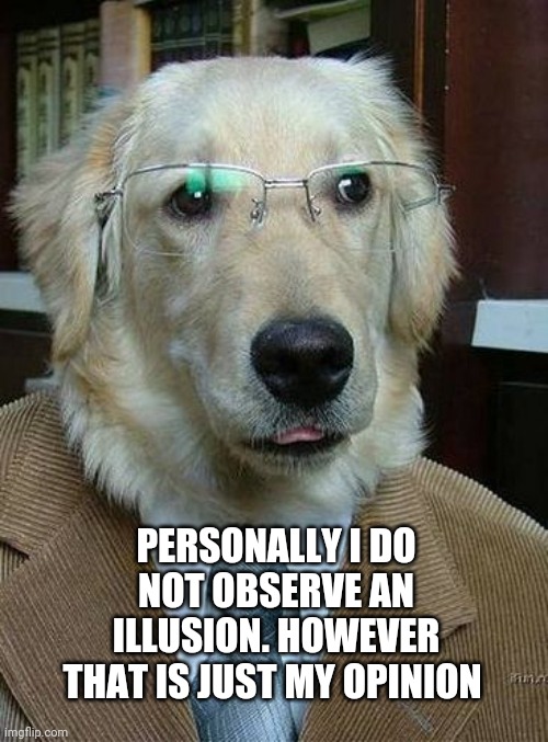 Dog Glasses | PERSONALLY I DO NOT OBSERVE AN ILLUSION. HOWEVER THAT IS JUST MY OPINION | image tagged in dog glasses | made w/ Imgflip meme maker