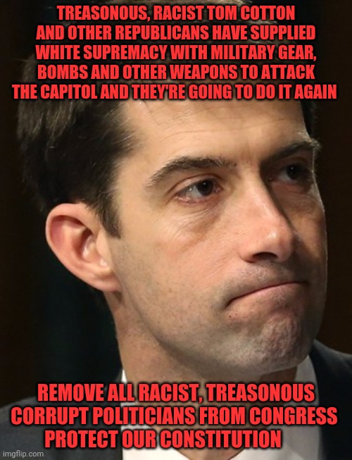 Tom Cotton, clueless dickhead | TREASONOUS, RACIST TOM COTTON AND OTHER REPUBLICANS HAVE SUPPLIED WHITE SUPREMACY WITH MILITARY GEAR, BOMBS AND OTHER WEAPONS TO ATTACK THE CAPITOL AND THEY'RE GOING TO DO IT AGAIN; REMOVE ALL RACIST, TREASONOUS CORRUPT POLITICIANS FROM CONGRESS      PROTECT OUR CONSTITUTION | image tagged in tom cotton clueless dickhead | made w/ Imgflip meme maker