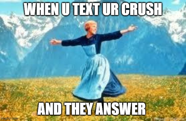 Look At All These Meme | WHEN U TEXT UR CRUSH; AND THEY ANSWER | image tagged in memes,look at all these | made w/ Imgflip meme maker