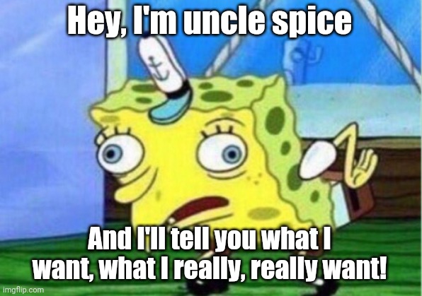 Mocking Spongebob Meme | Hey, I'm uncle spice And I'll tell you what I want, what I really, really want! | image tagged in memes,mocking spongebob | made w/ Imgflip meme maker