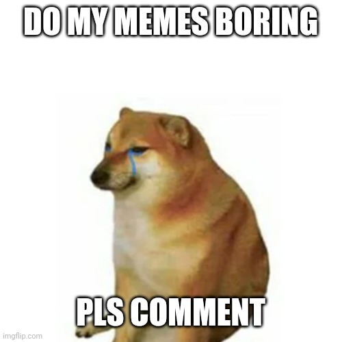 DO MY MEMES BORING; PLS COMMENT | image tagged in comment | made w/ Imgflip meme maker