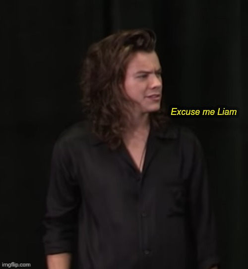 Harry Styles Excuse Me Liam | image tagged in harry styles excuse me liam | made w/ Imgflip meme maker