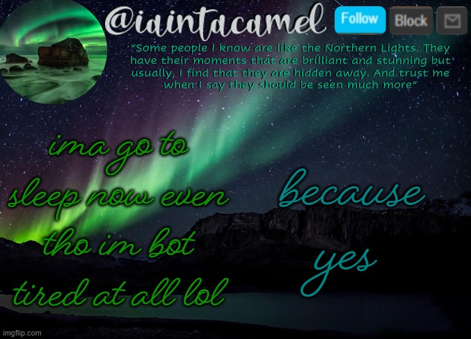nobody asked but oh well lol | ima go to sleep now even tho im bot tired at all lol; because yes | image tagged in iaintacamel | made w/ Imgflip meme maker