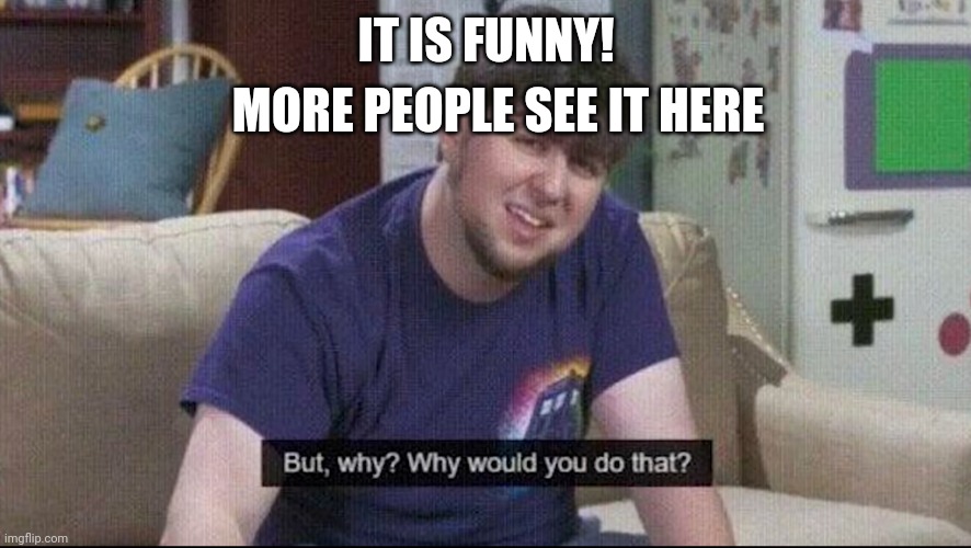 But why why would you do that? | IT IS FUNNY! MORE PEOPLE SEE IT HERE | image tagged in but why why would you do that | made w/ Imgflip meme maker