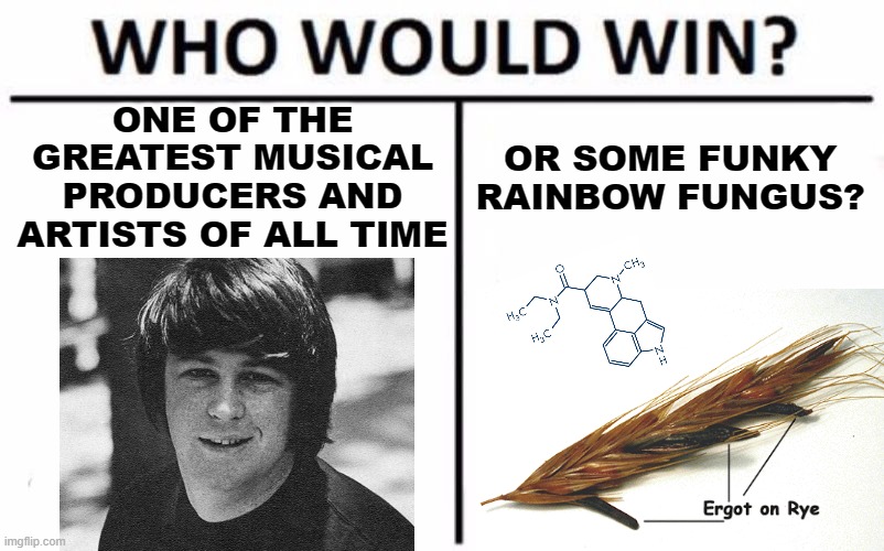 the first of many falls of brian wilson | ONE OF THE GREATEST MUSICAL PRODUCERS AND ARTISTS OF ALL TIME; OR SOME FUNKY RAINBOW FUNGUS? | image tagged in memes,who would win | made w/ Imgflip meme maker