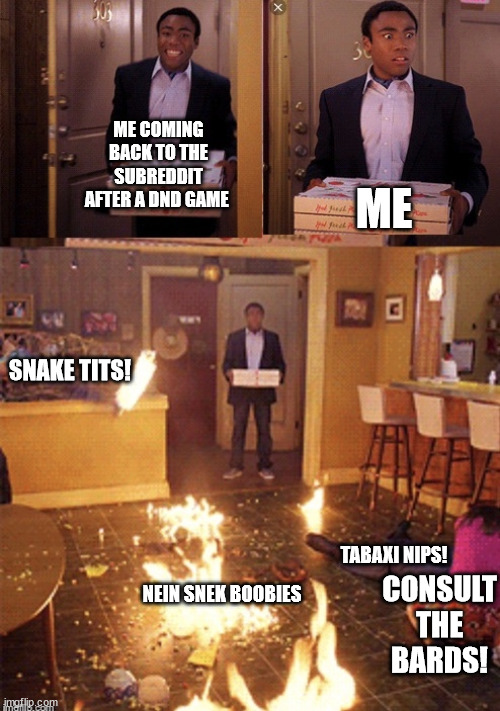 Surprised Pizza Delivery | ME; ME COMING BACK TO THE SUBREDDIT AFTER A DND GAME; SNAKE TITS! TABAXI NIPS! CONSULT THE BARDS! NEIN SNEK BOOBIES | image tagged in surprised pizza delivery | made w/ Imgflip meme maker