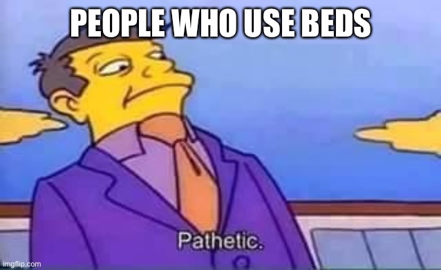 skinner pathetic | PEOPLE WHO USE BEDS | image tagged in skinner pathetic | made w/ Imgflip meme maker