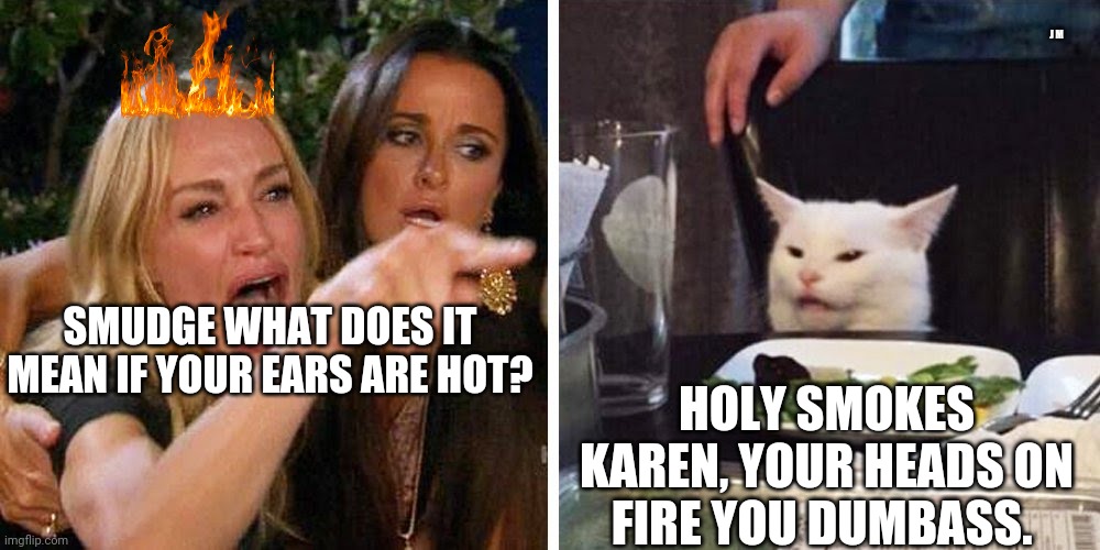 Smudge the cat | J M; SMUDGE WHAT DOES IT MEAN IF YOUR EARS ARE HOT? HOLY SMOKES KAREN, YOUR HEADS ON FIRE YOU DUMBASS. | image tagged in smudge the cat | made w/ Imgflip meme maker