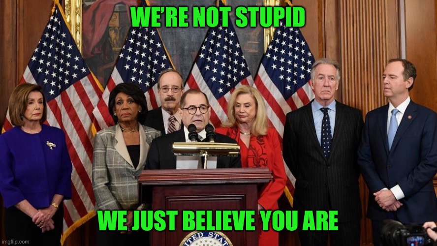 House Democrats | WE’RE NOT STUPID WE JUST BELIEVE YOU ARE | image tagged in house democrats | made w/ Imgflip meme maker
