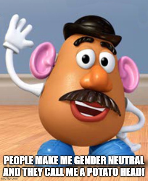 Potato head  | PEOPLE MAKE ME GENDER NEUTRAL AND THEY CALL ME A POTATO HEAD! | image tagged in potato head | made w/ Imgflip meme maker