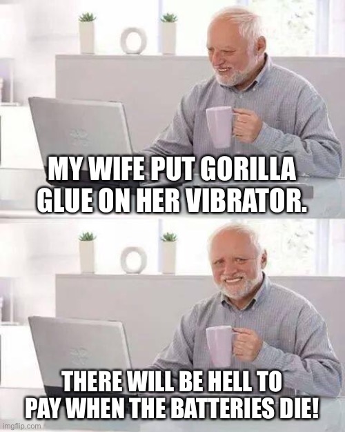 Batteries will die | MY WIFE PUT GORILLA GLUE ON HER VIBRATOR. THERE WILL BE HELL TO PAY WHEN THE BATTERIES DIE! | image tagged in memes,hide the pain harold | made w/ Imgflip meme maker